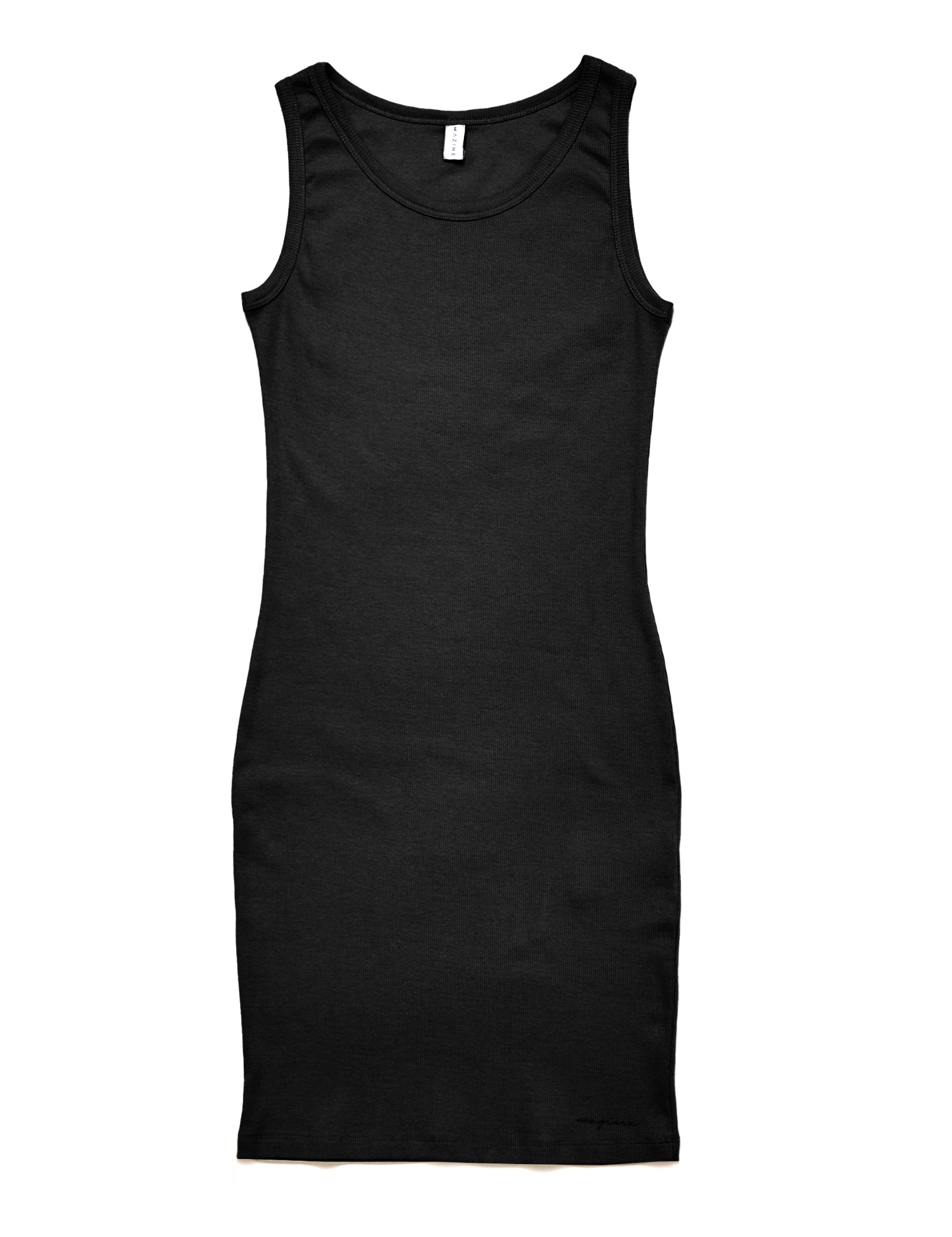 Schwarzes ärmelloses Damenkleid isoliert