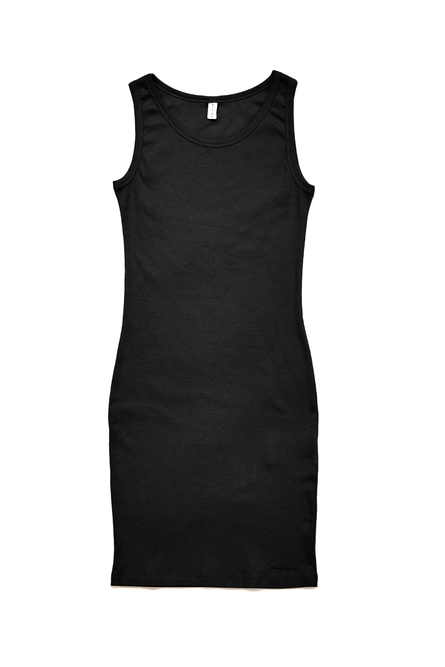 Schwarzes ärmelloses Damenkleid isoliert