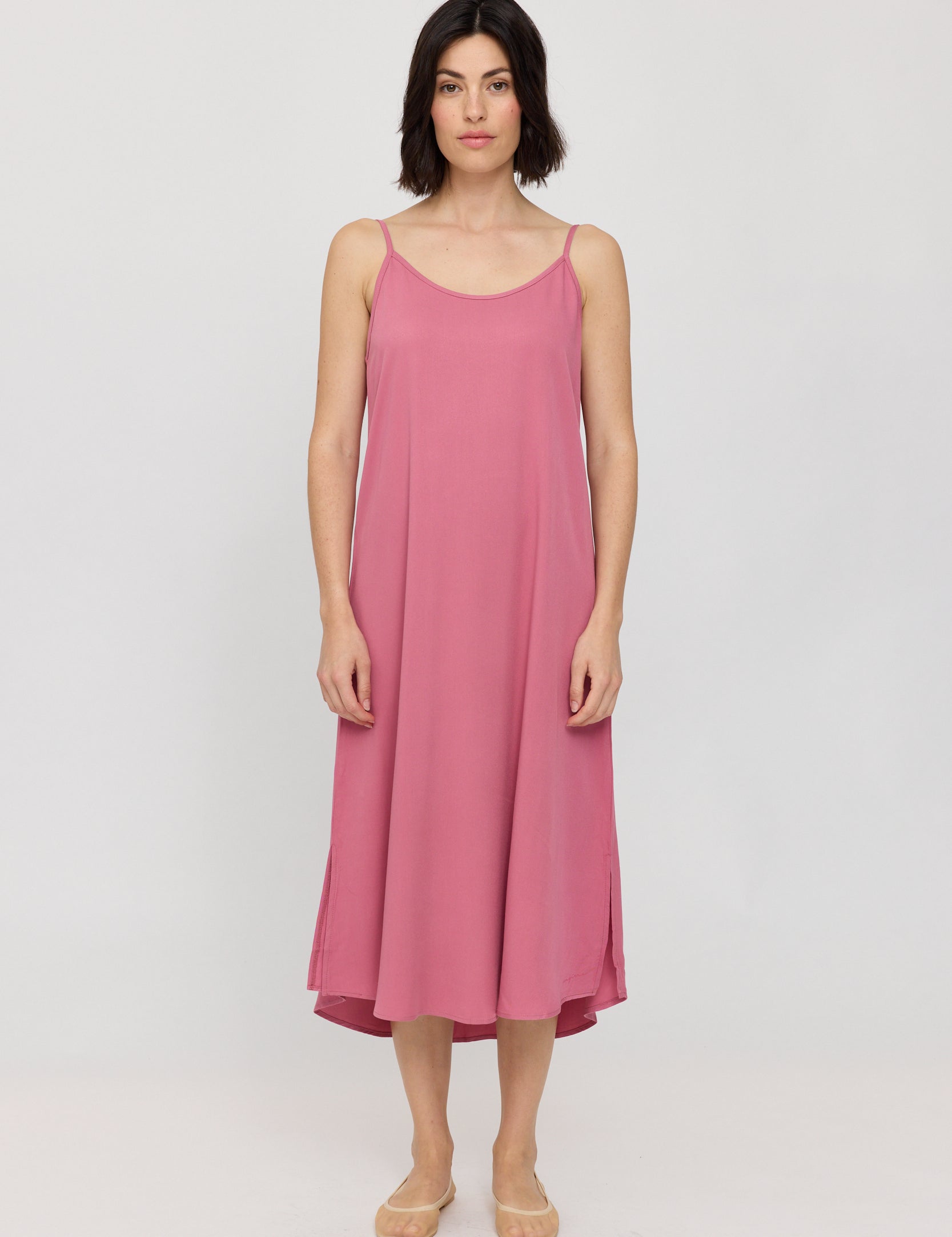 25134288_pink-rose_01_660856bb-e8a2-4f71-82c9-3319d1cbc1e0.jpg