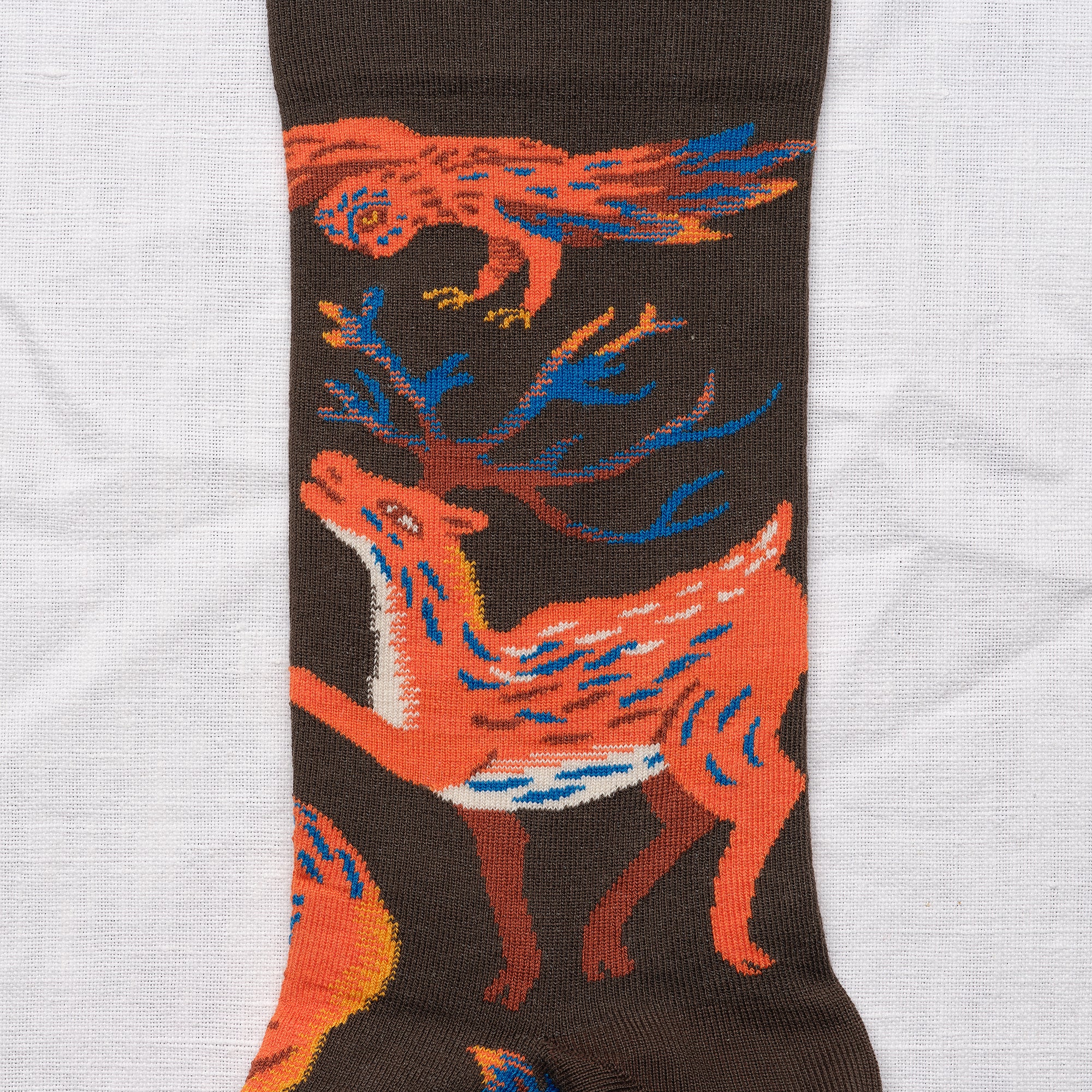 Socken Animaux Terre
