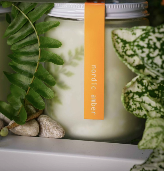 Kerze mit Etikett 'nordic amber' neben Pflanzen