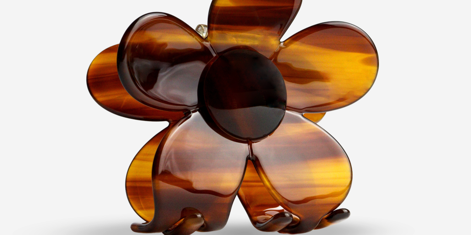 Glänzende Harzblume in Bernsteinfarbe