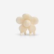 Bloornie Macadamia