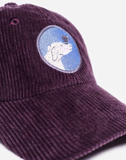 Cap Six Pannel Cup