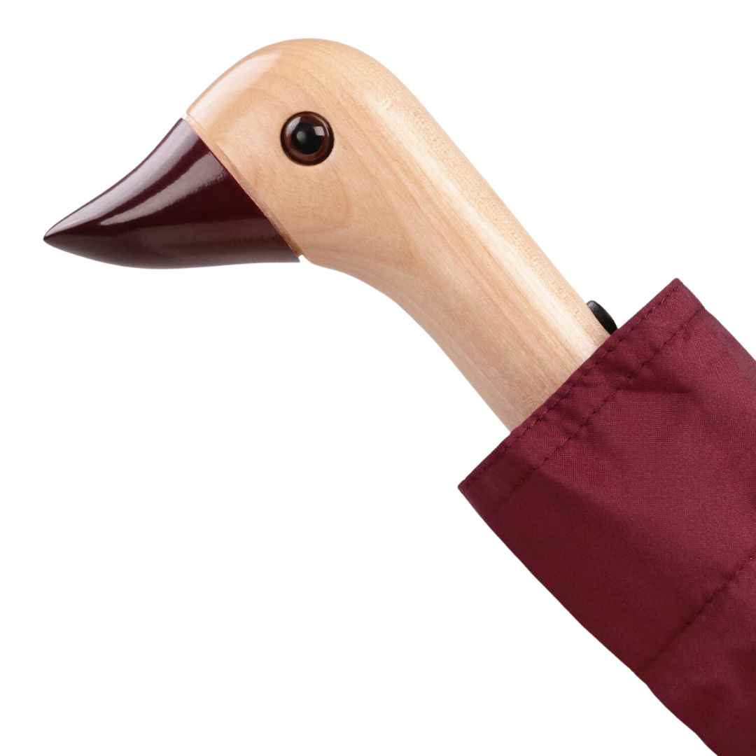 Copyoforiginal-duckhead-cherry_2.jpg
