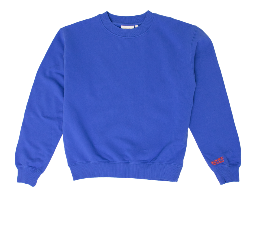 FreistellerSweaterblau.png