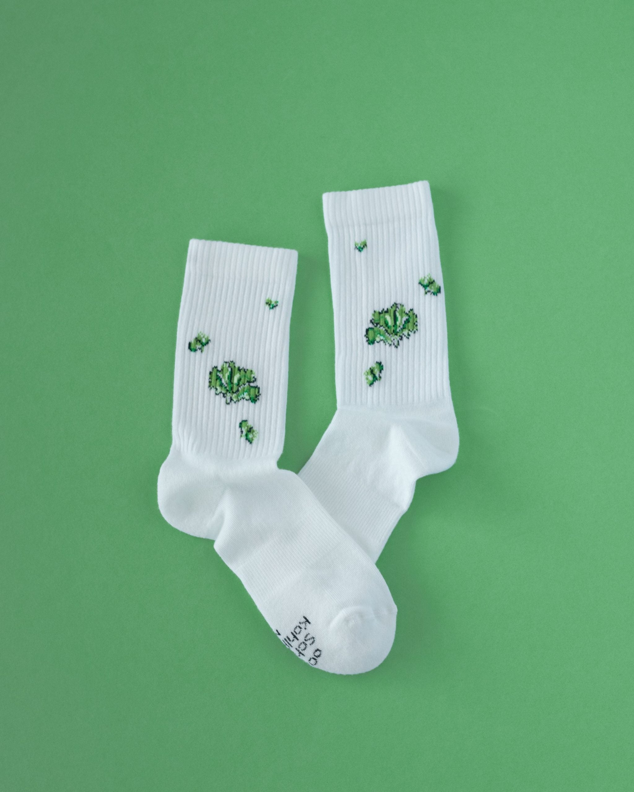 Weiße Socken mit Kaktus-Stickerei auf grünem Hintergrund.