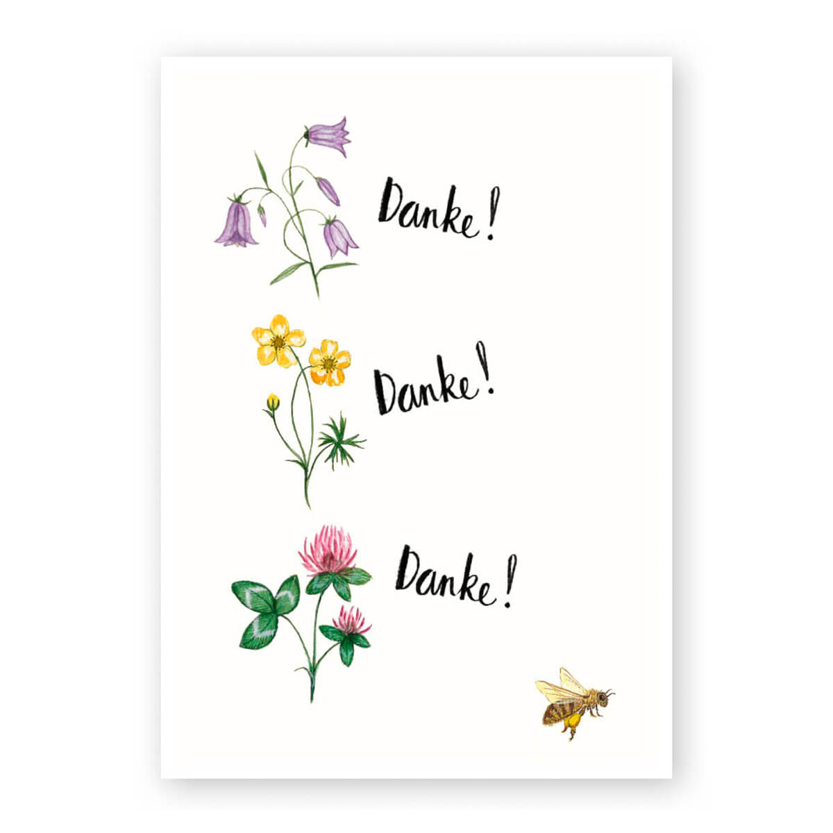 PK_43_Danke_Wiesenblumen_Brigitte_Baldrian.jpg
