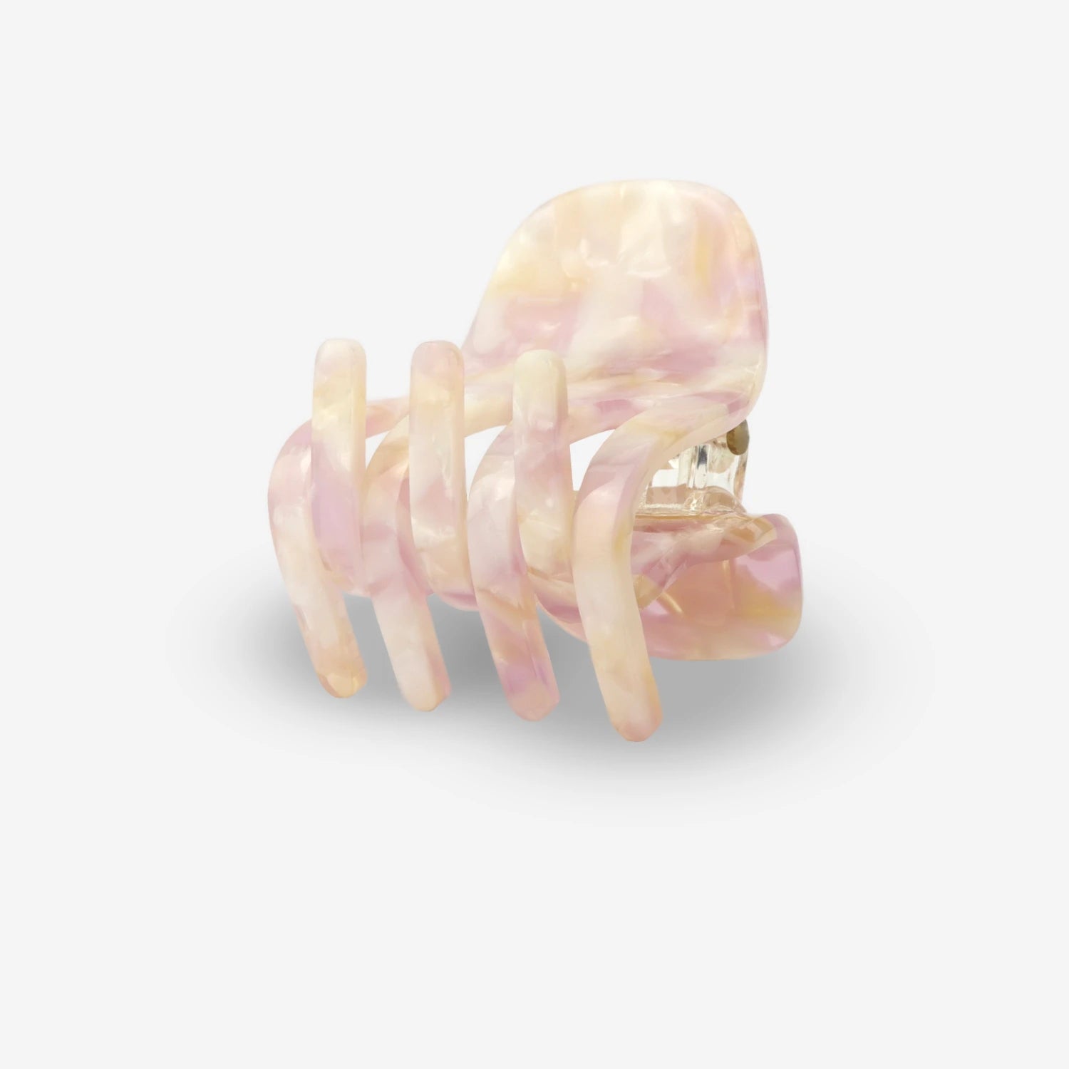 PawRose2.webp