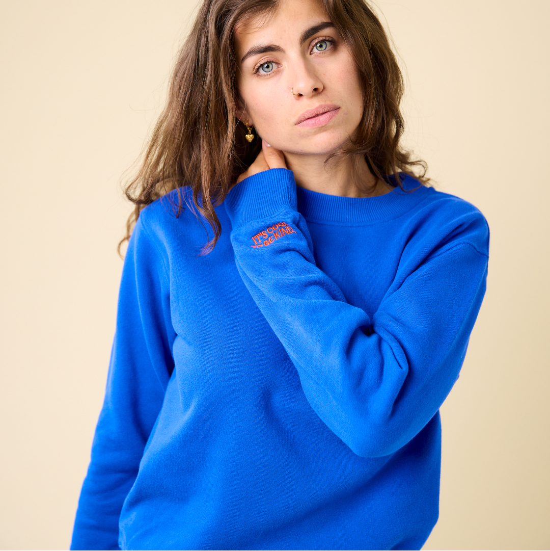Sweater_blau_8c2251ef-04f0-44b9-a437-c85e6e59dd2c.png