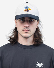 Casquette Six Panel