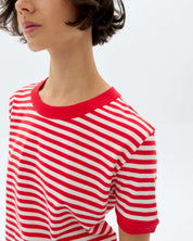 Zowi R Tee - Willy Stripes